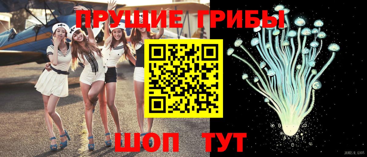 Псилоцибиновые грибы мицелий  Вход с VPN  Ивантеевка 