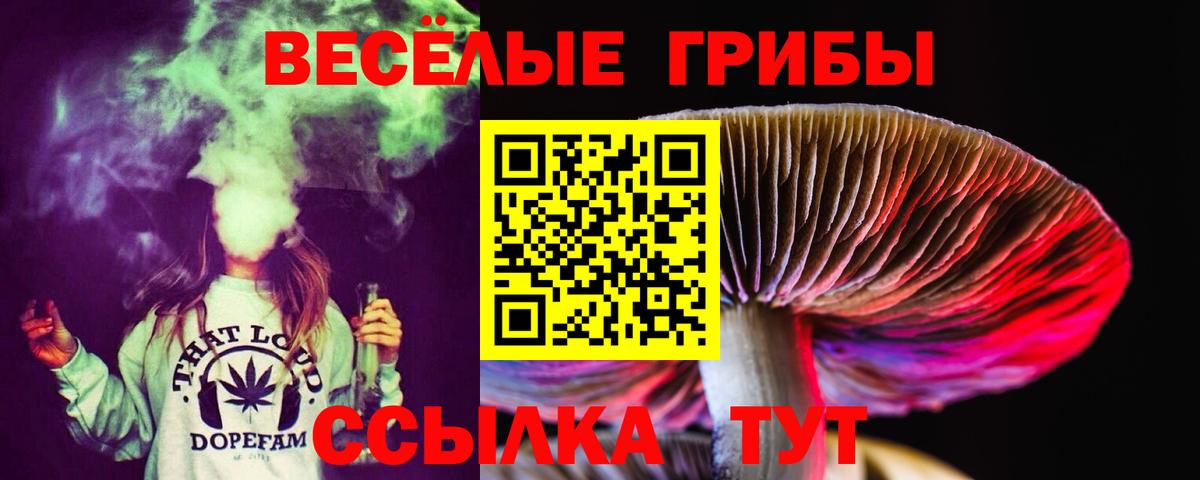 Галлюциногенные грибы GOLDEN TEACHER Ивантеевка